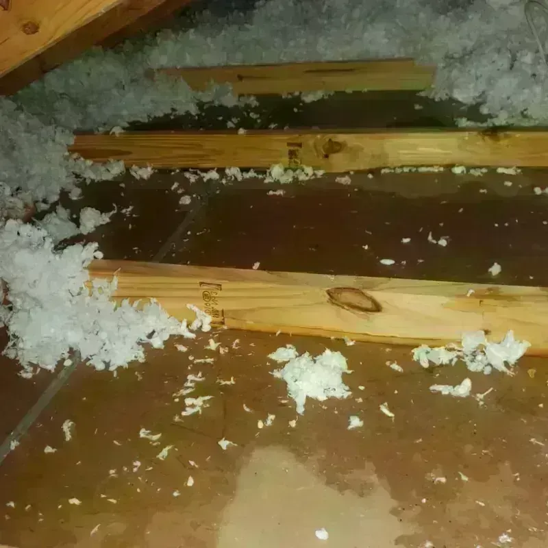 Attic Water Damage in Frederickson, WA