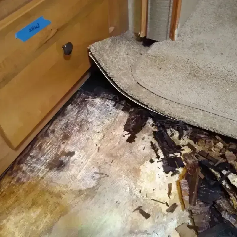 Wood Floor Water Damage in Frederickson, WA